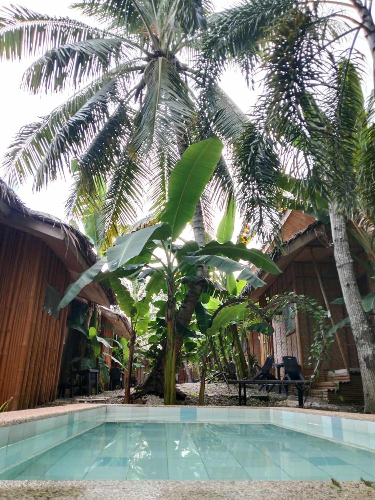Ecostay Panglao Resort Hotel Esterno foto