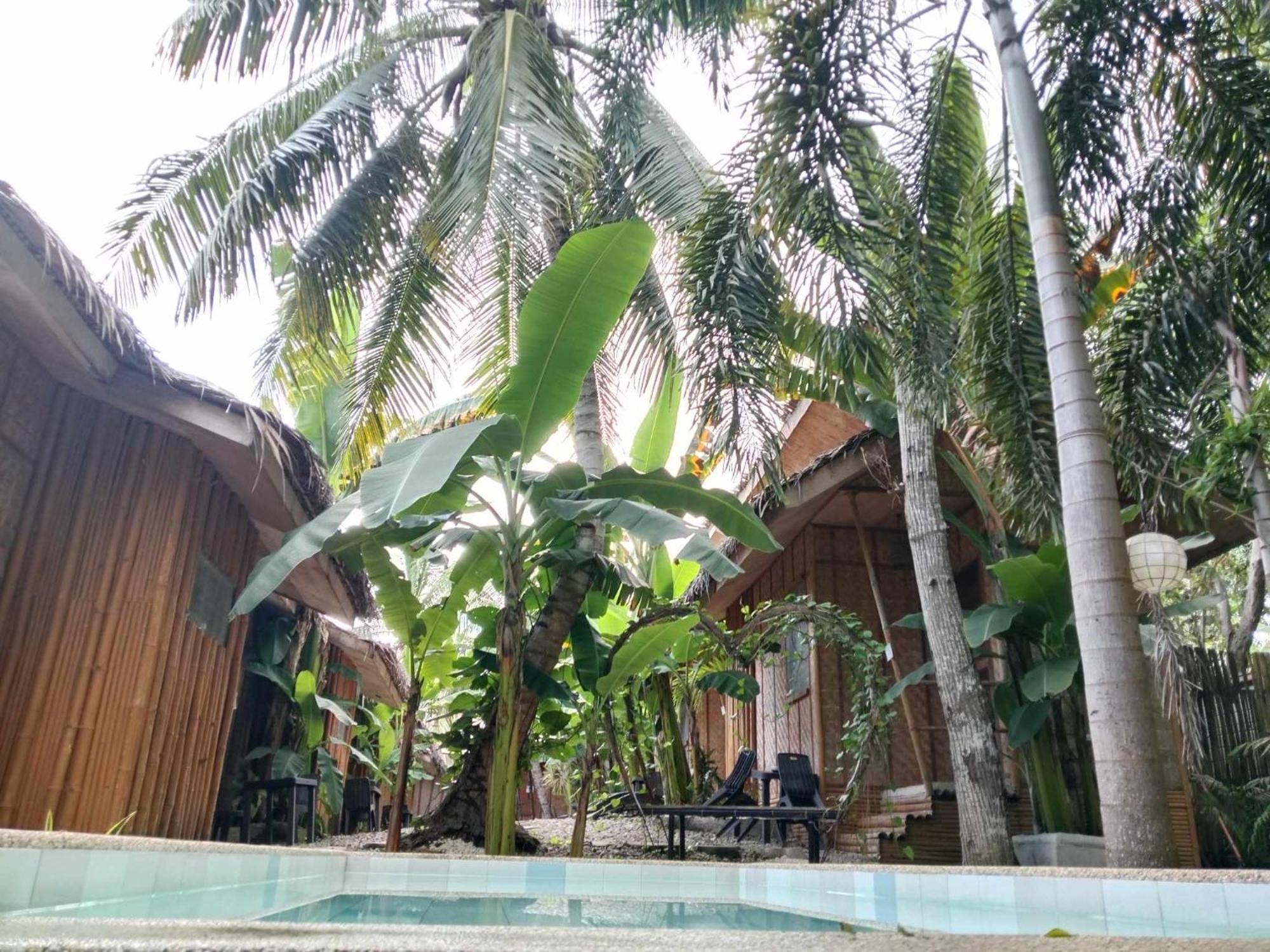 Ecostay Panglao Resort Hotel Esterno foto